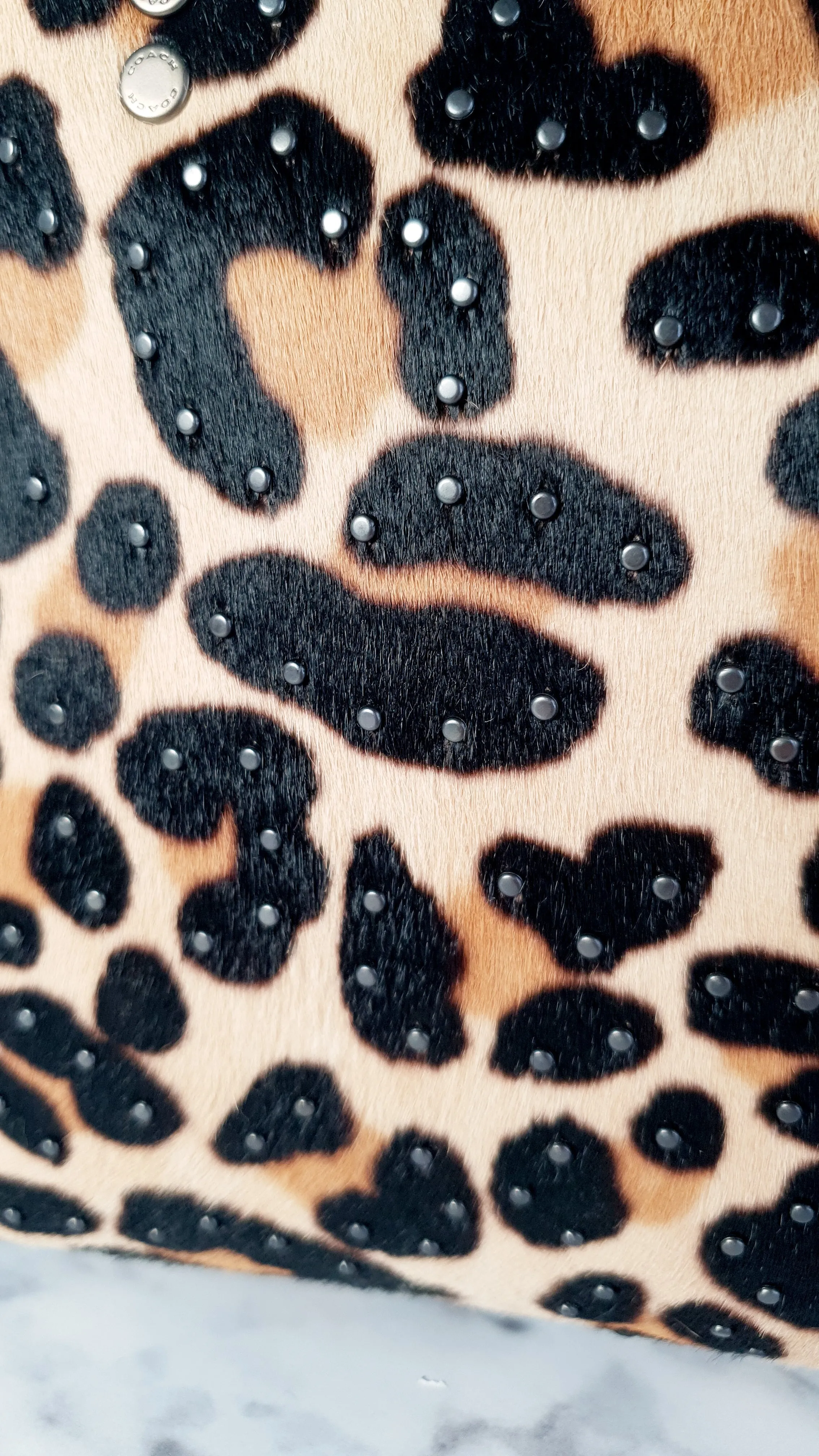 Coach 1941 Rogue 25 Wild Beast Leopard in Black With Haircalf and Rivets - Satchel Handbag Coach 32872