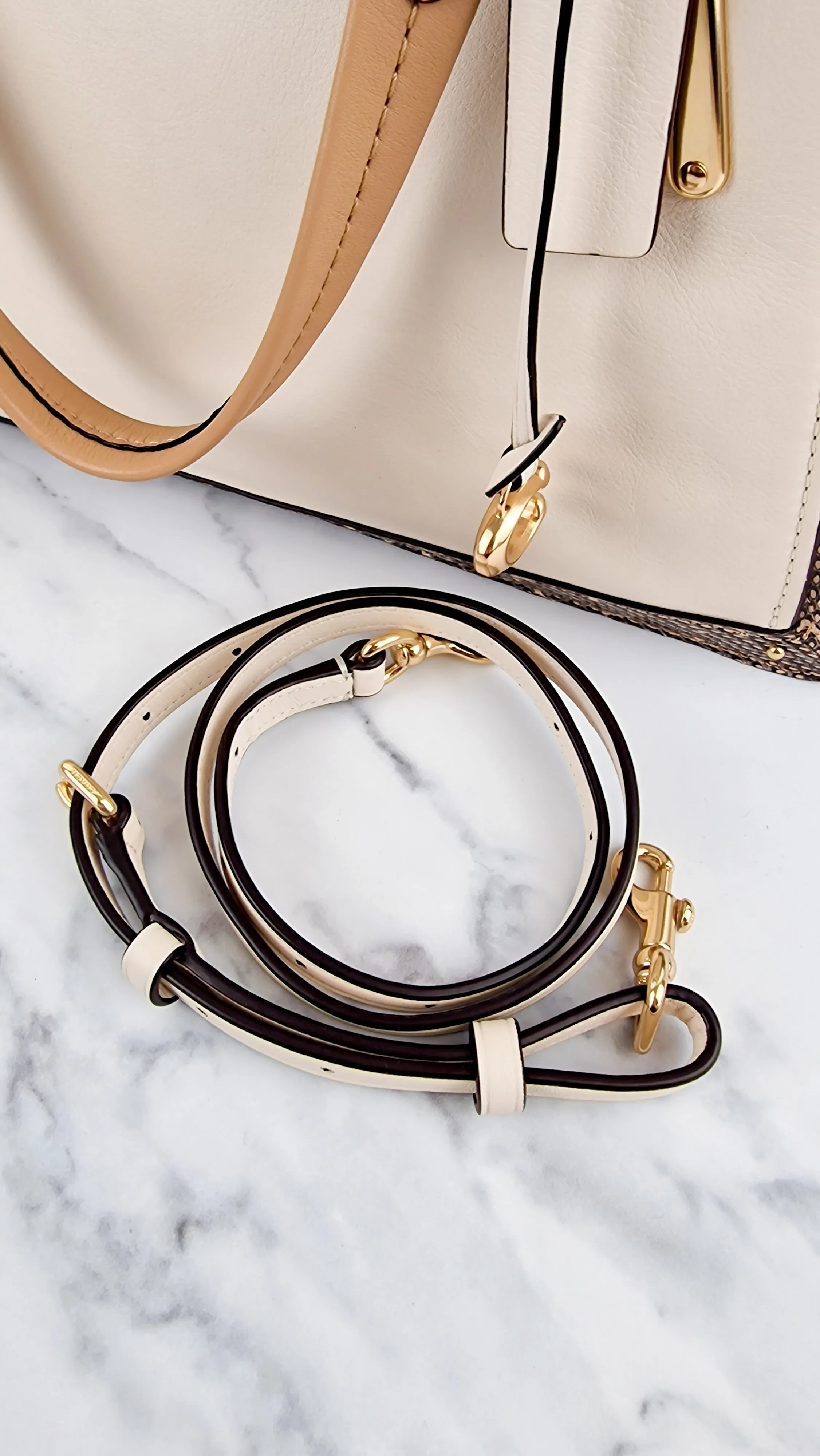 Coach Dreamer 36 in Chalk Leather with Snakeskin Trim - Handbag Crossbody Bag - Coach 31645