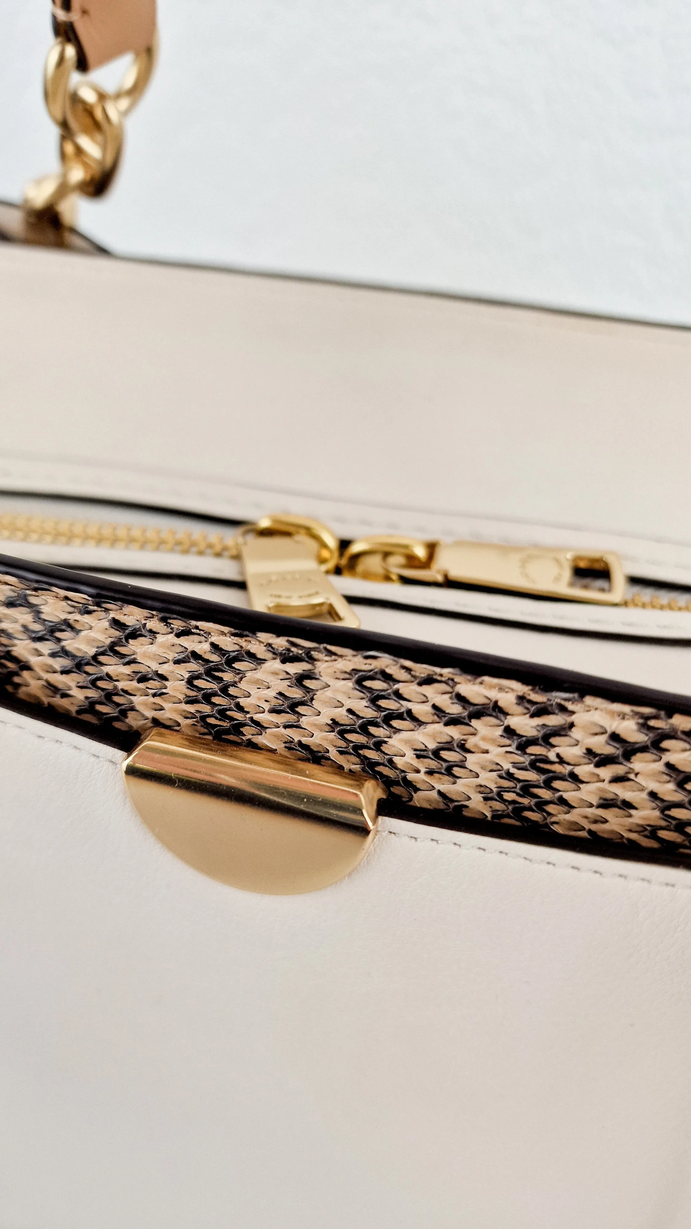 Coach Dreamer 36 in Chalk Leather with Snakeskin Trim - Handbag Crossbody Bag - Coach 31645