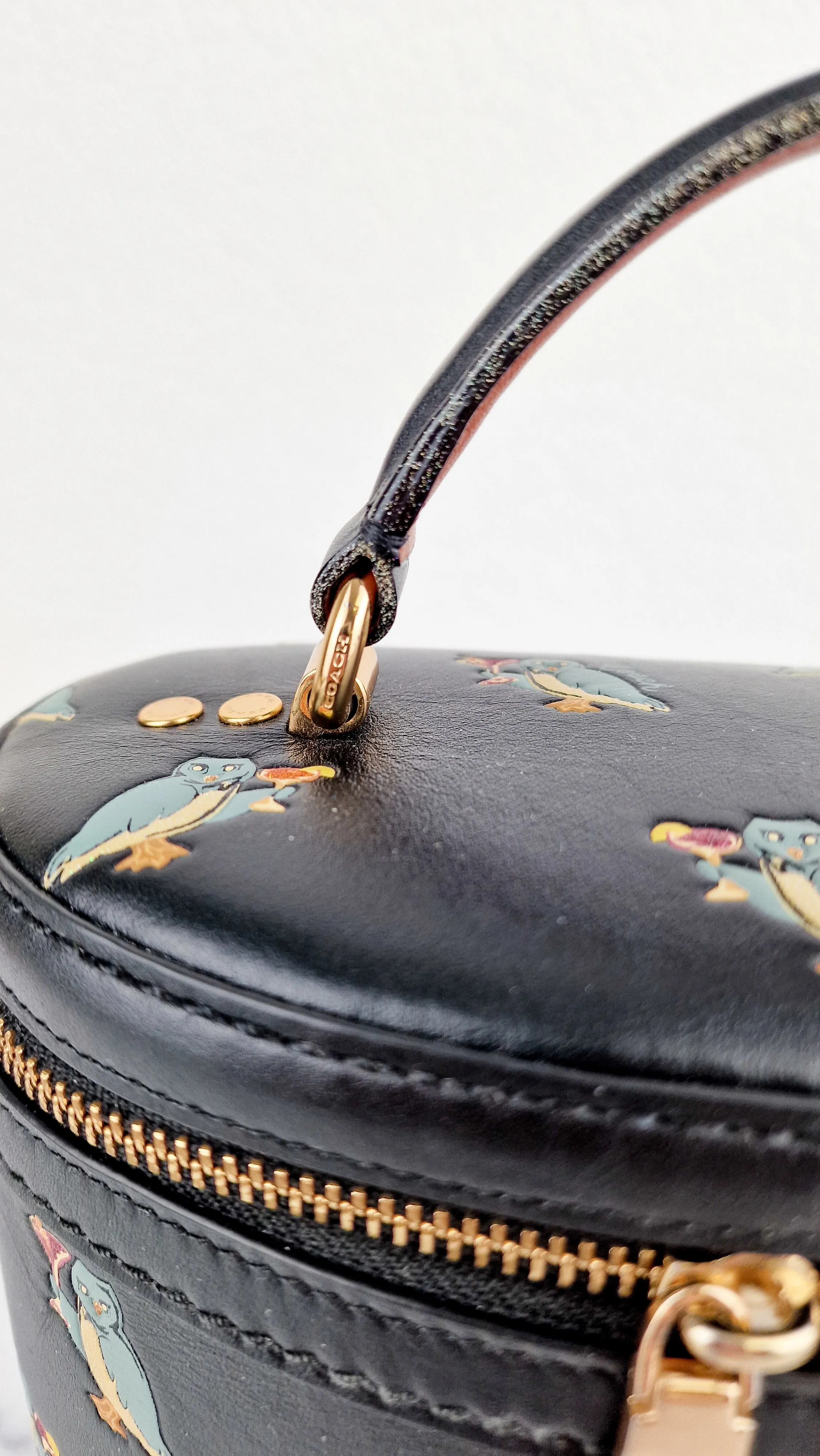 Coach Trail Bag With Party Owls in Black Smooth Leather Crossbody Bag - Coach 38603
