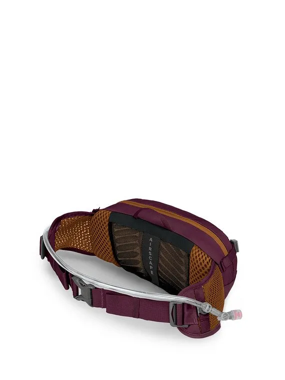 Seral 4 Hydration Waist Pack